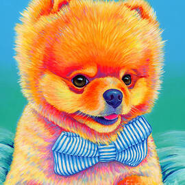 Theo the Pomeranian by Rebecca Wang