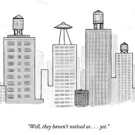 They Haven't Noticed Us by Avi Steinberg