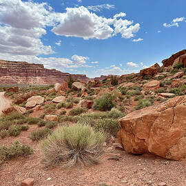 Though the Valley of the Gods by Joe Schofield