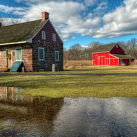 Thoughtful Reflections by Penny Polakoff