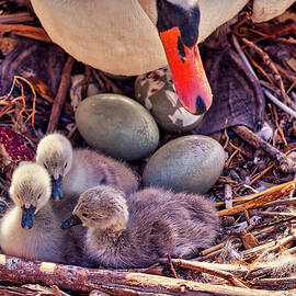 Three down three to go by Tatiana Travelways