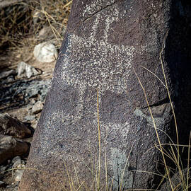 Three Rivers Petroglyphs #40 by Blake Webster