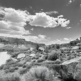 Through the Valley of the Gods BW by Joe Schofield