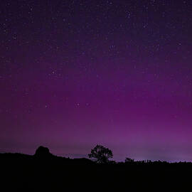 Thumb Butte Under The Aurora Borealis by Matt Halvorson