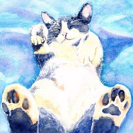 Tickle Toes Cat Nap by Carlin Blahnik CarlinArtWatercolor
