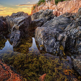 Tide Pool At Bass Harbor. by Jeff Sinon
