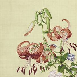 Tiger lilies and winding peonies - Chinese flower paintings by Giuseppe Castiglione by Giuseppe Castiglione Lang Shining