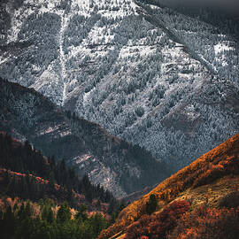 Timpanogos Autumn Snow, Utah - Vertical by Abbie Matthews