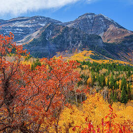 Timpanogos Colors by Abbie Matthews