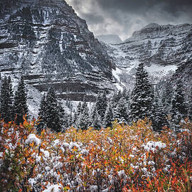 Timpanogos Fire and Ice, Utah - Vertical by Abbie Matthews