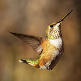 Tiny Ballerina by Mike Lee