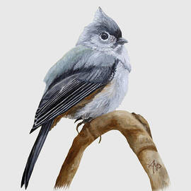 Titmouse On A Branch by Angeles M Pomata