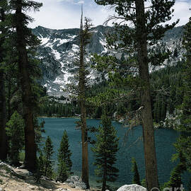 TJ Lake by Abigail Diane Photography
