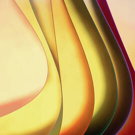 Together - Paper Abstract by Elvira Peretsman