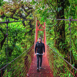 Tourist walking on a suspension bridge in Monteverde Cloud Forest, Costa Rica by Miroslav Liska