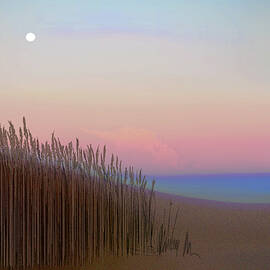 Toward Bald Head by Gina Harrison