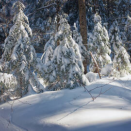 Trailside Light by Jeff Sinon