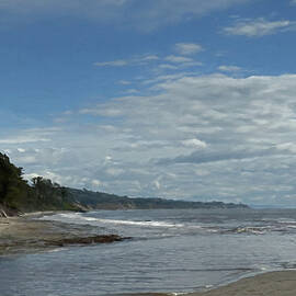 Tranquil Coastal Landscape by Barbara Siegel