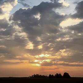 Tranquil Dusk Silhouetted Trees under Dramatic Clouds by Travel Essayist