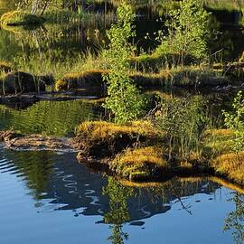 Tranquil Forest Lake Reflection by Robert Grac