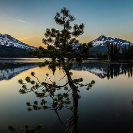 Tranquil Times by Tim Lyden