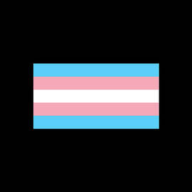 Transgender Pride Flag by Flippin Sweet Gear