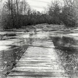 Treacherous Path by Steven Nelson