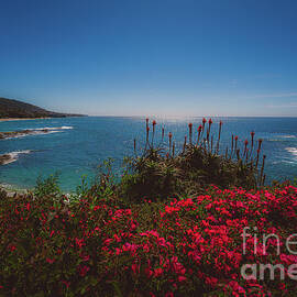 Treasure Island Beach,Laguna Beach by Abigail Diane Photography