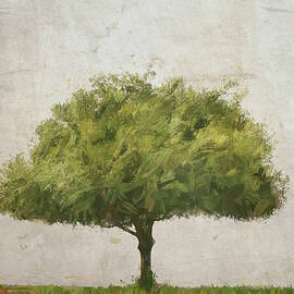 Tree at Mount Soledad IMP by Alison Frank