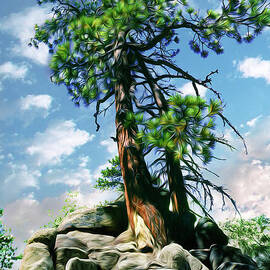 Tree Big Bear Lake by William Gunn