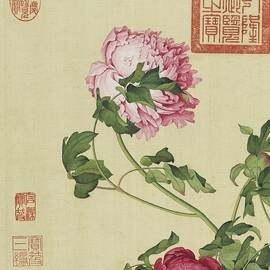 Tree peonies - Chinese flower paintings by Giuseppe Castiglione by Giuseppe Castiglione Lang Shining