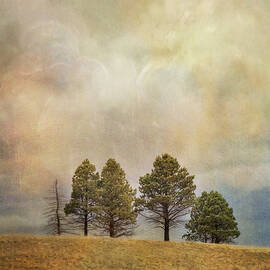 Trees on a Hill Under an Imaginary Sky by Mary Lee Dereske