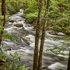 Tremont and the River in the Smoky Mountains National Park  by Jimmy Pappas