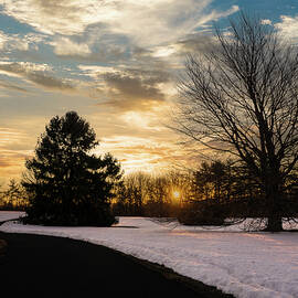 Trexler Park - Upper Paths Winter Sunrise Traditional by Jason Fink