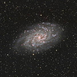 Triangulum Galaxy by Brian Weber