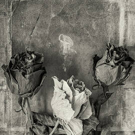 Tribute to Pompeii Artists No1 by Mary Lee Dereske