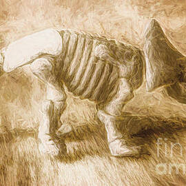 Triceratops exhibited by Jorgo Photography