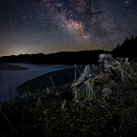 Trinity Stump and Stars by Mike Lee