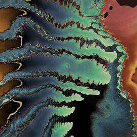 Tropic of Cancer by Vic Eberly