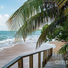 Tropical Loiza Beach Walkway by Beachtown Views
