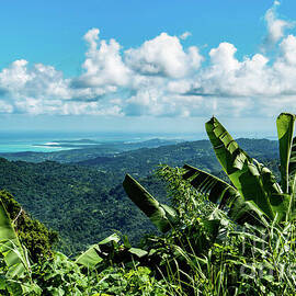 Tropical Rio Grande Hillside with Ocean View by Beachtown Views
