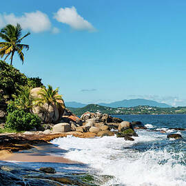 Tropical Yabucoa Beach with Palm Trees by Beachtown Views