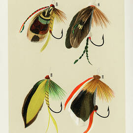 favorite flies and their histories fishing lure Histories: Marbury, Mary Orvis: 9781620875940 Books Fishing flies Images - Free