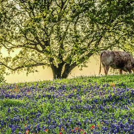 True to a Stereotype by KC Hulsman