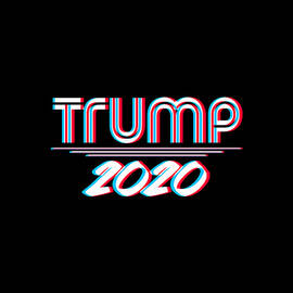 Trump 2020 3D Effect by Flippin Sweet Gear