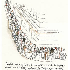 Trump's Lawyers Line Up by Barry Blitt