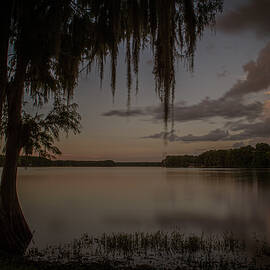 Tsala Apopka Chain of Lakes by Joe Leone