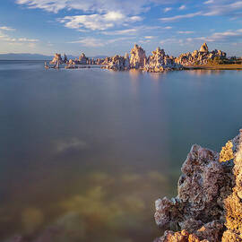 Tufa spires around Mono Lake, Tufa State Reserve, California, USA by Neale And Judith Clark