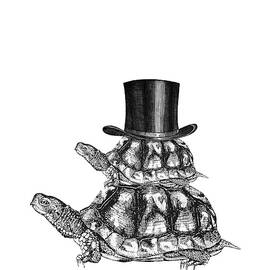 Turtle Stack by Madame Memento