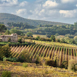 Tuscan Valley by Dave Bowman
